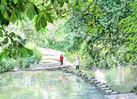 GREETING CARD: Stepping Stones over River Mole