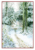 GREETING CARD: Woodland Walk on Box Hill