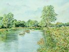 Horses Drinking in the River Mole, Leatherhead