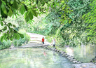 Stepping Stones over River Mole, at the foot of Box Hill