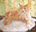 Tigger, the Ginger Cat